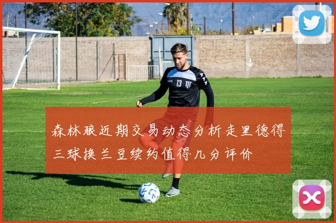 森林狼近期交易动态分析走里德得三球换兰豆续约值得几分评价