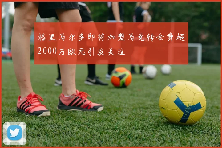 格里马尔多即将加盟马竞转会费超2000万欧元引发关注